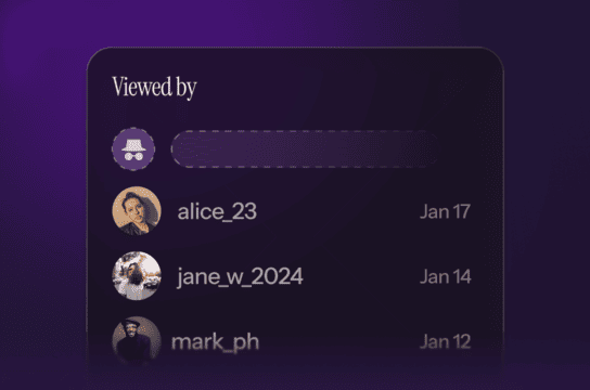Anonymous Story Viewer